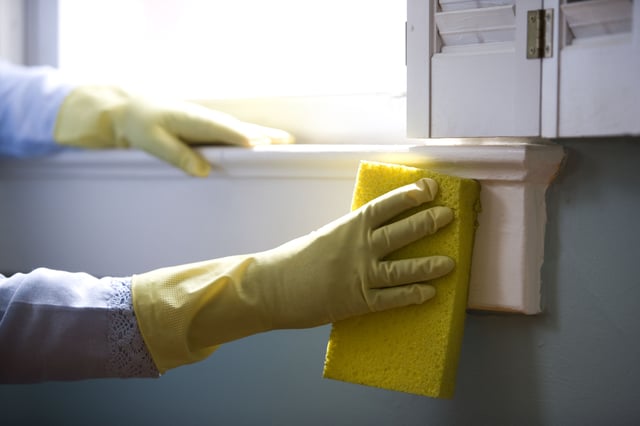 16323-woman-cleaning-a-window-or.jpg