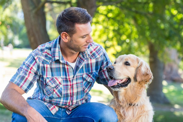 Happy man with his pet dog in park on a sunny day