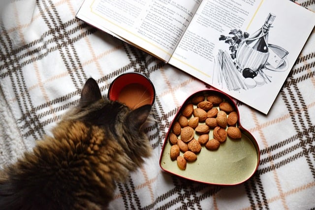 cat_table.jpg