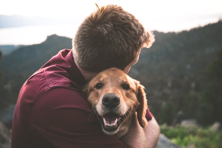 Some military members may need to seek short-term foster care for their pet.