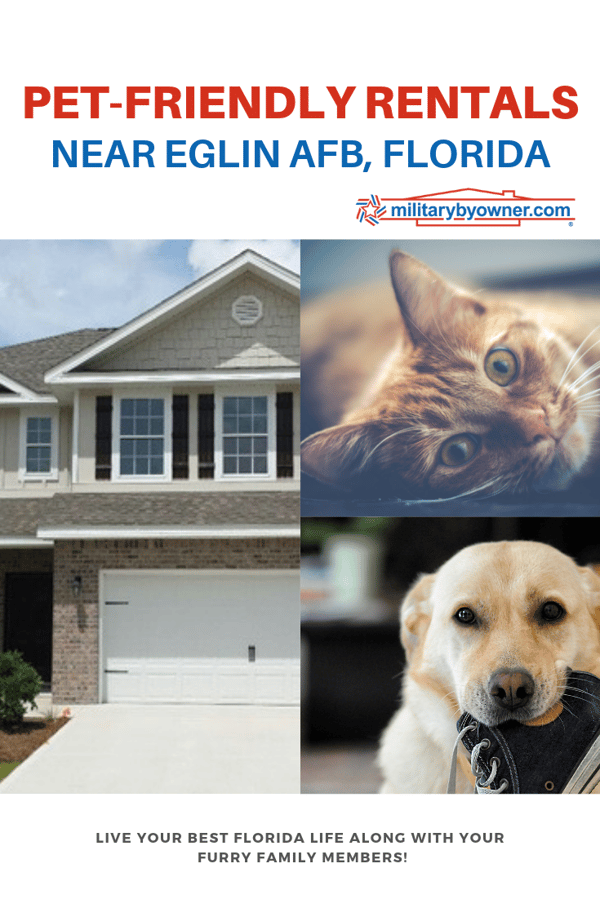 Pet-friendly Rentals Near Eglin AFB Florida