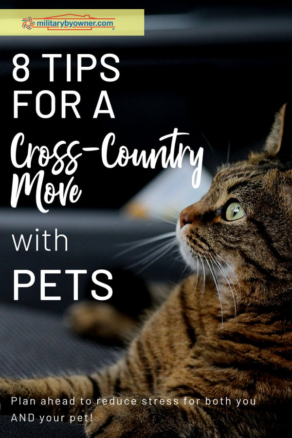 Plan Ahead for a Cross-Country Move with Pets