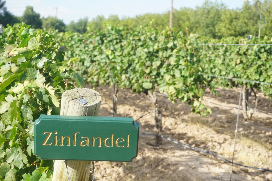 Zin Valle Winery
