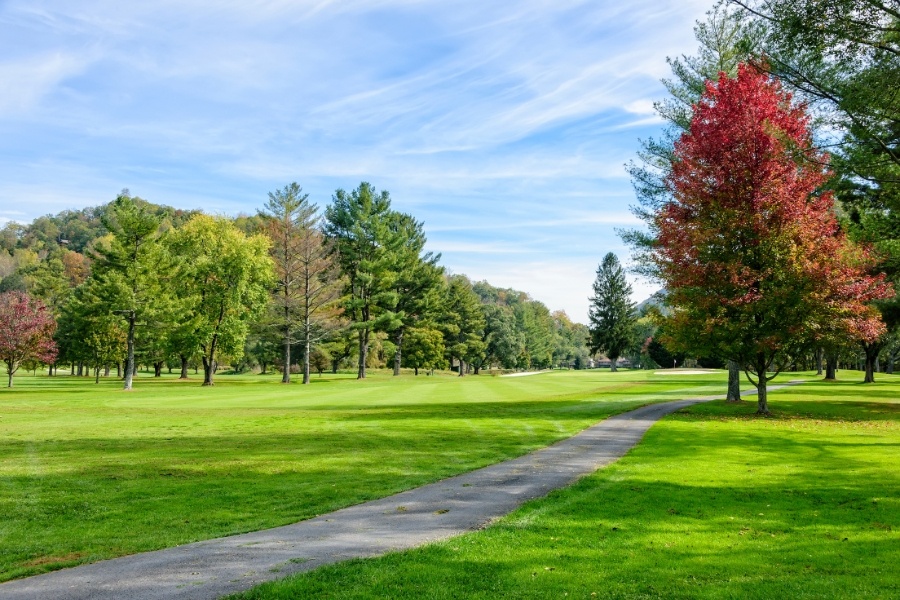 golf course path in autumn