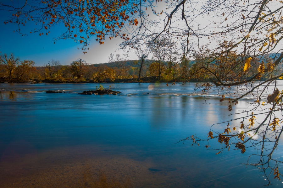 View of Potomac in Virginia with fall colors on trees. 