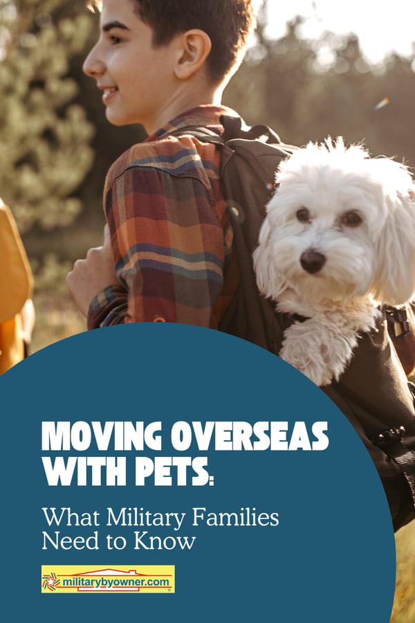 Boy in plaid shirt carries white dog in backpack with text, Moving Overseas with Pets What Military Families Need to Know