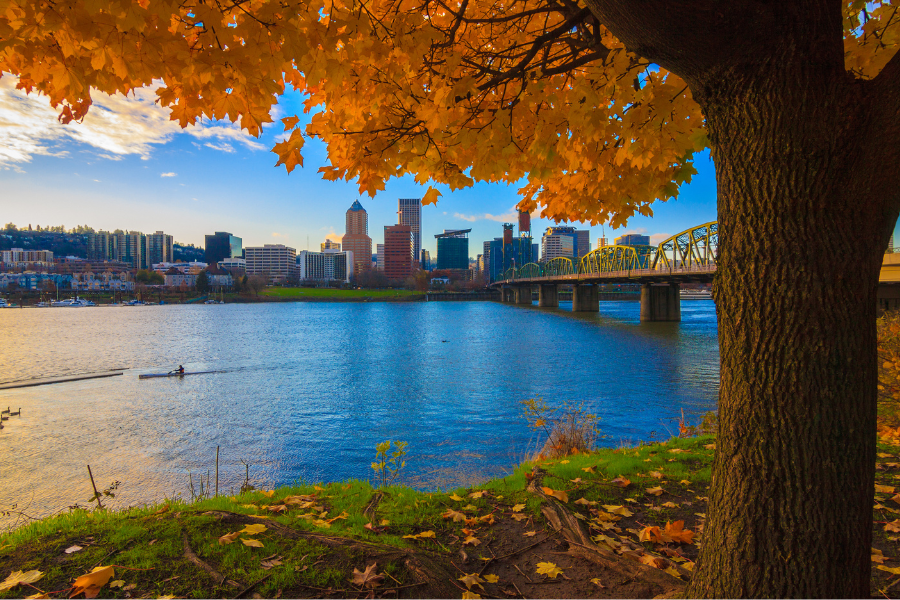 View of Portland, Oregon, overlooking the Willamette River on a fall afternoon with view of river and orange leafed tree