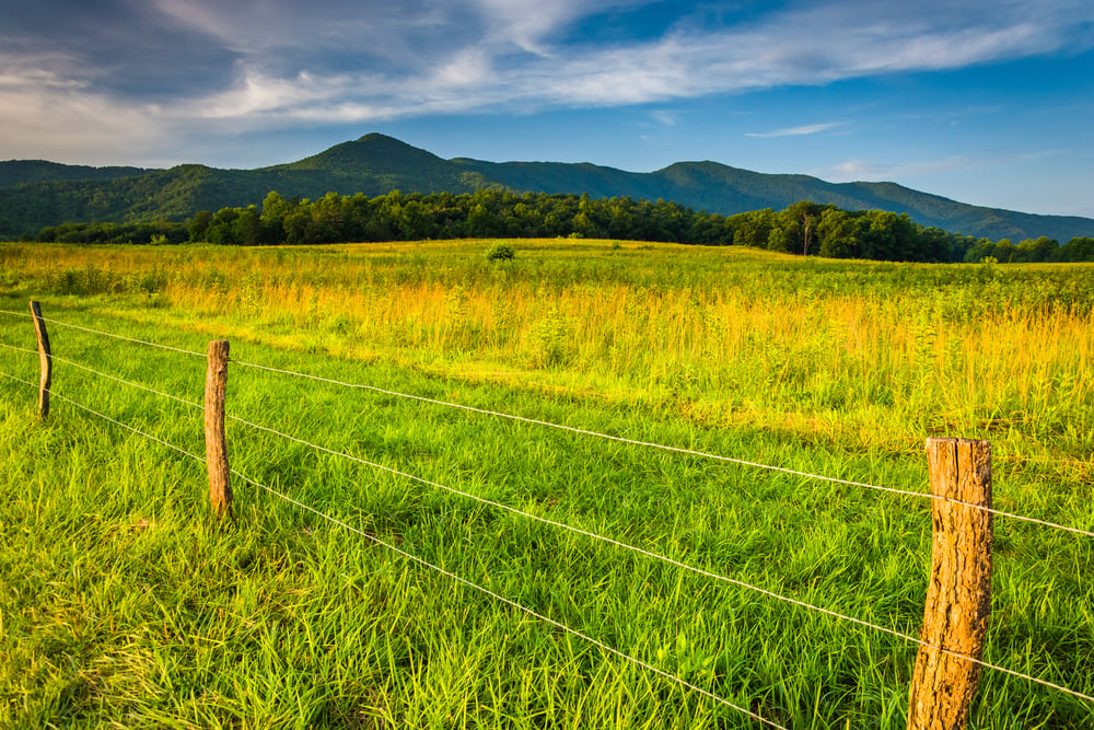 Fence in a field and view of mountains at Cades Cove, Great Smoky Mountains National Park, Tennessee.