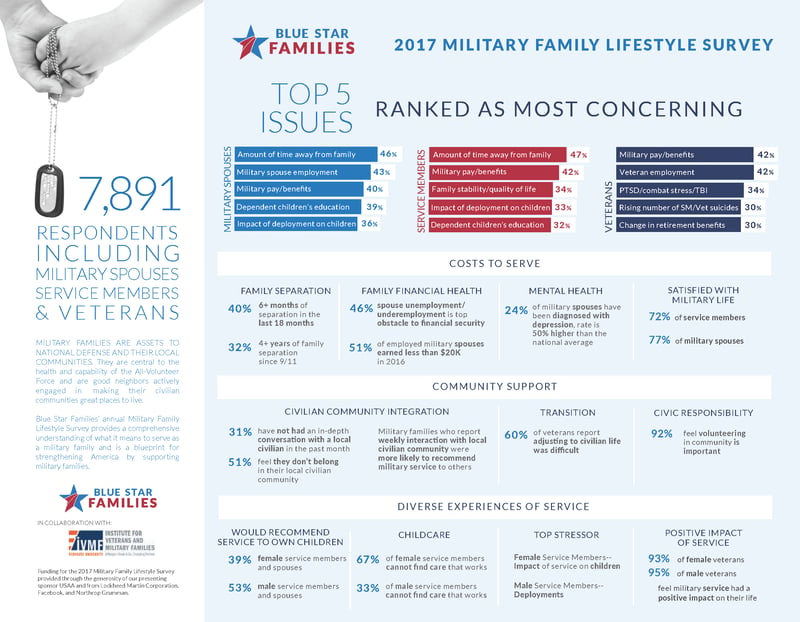 BSF_Survey17_Snapshot_Finalsmall_Page_1.png