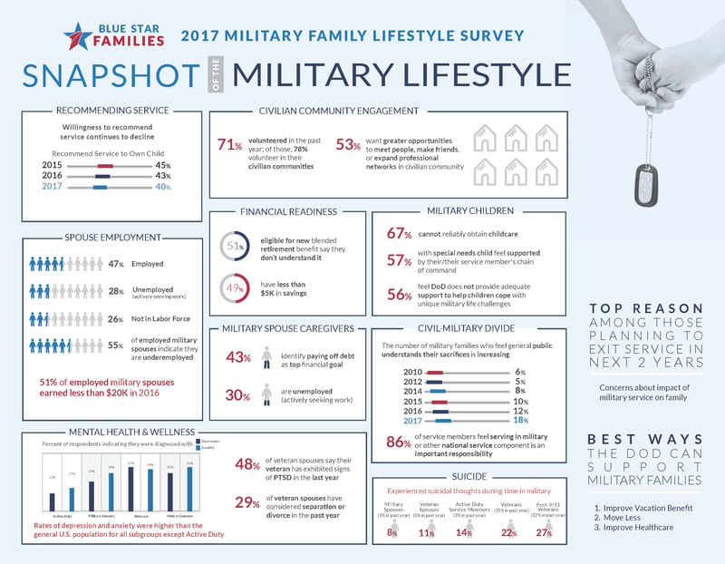 BSF_Survey17_Snapshot_Finalsmall_Page_2.png