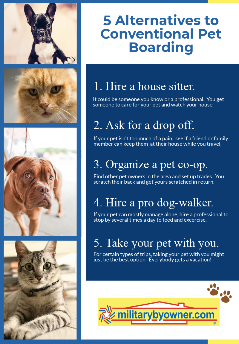 Alternatives to Pet Boarding During the Holidays