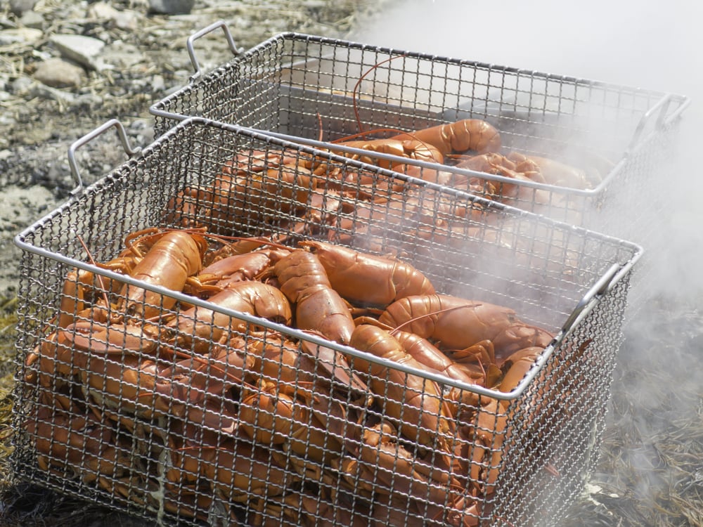 Lobster bake on beach in New England