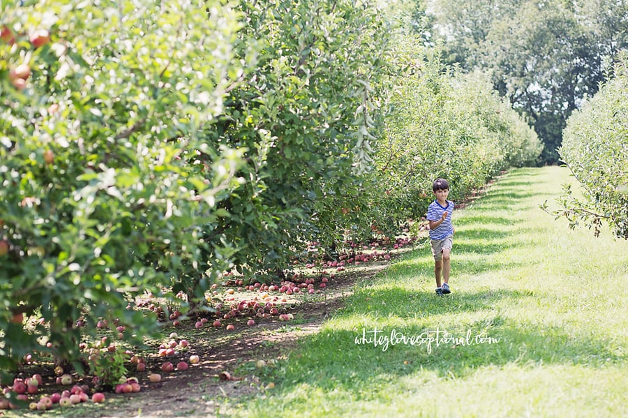 Eckert's Boyd Orchard near Fort Knox Kentucky