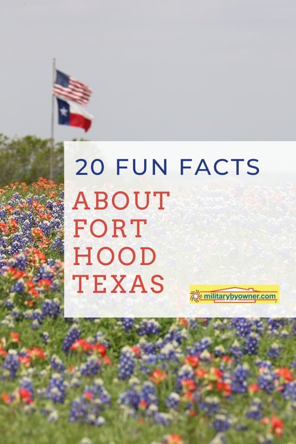 Field of red and blue wildflowers with Texas and U.S. flags in bathroom with text 20 Fun Facts About Fort Hood, Texas