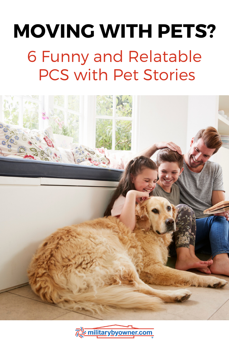 6 Funny and Relatable  PCS with Pet Stories