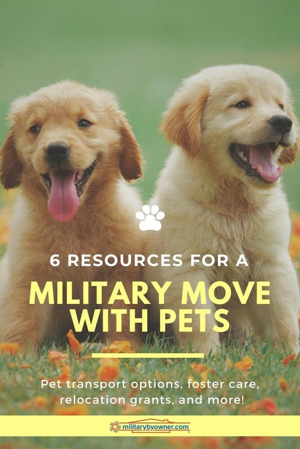 6 Resources for a Military Move with Pets