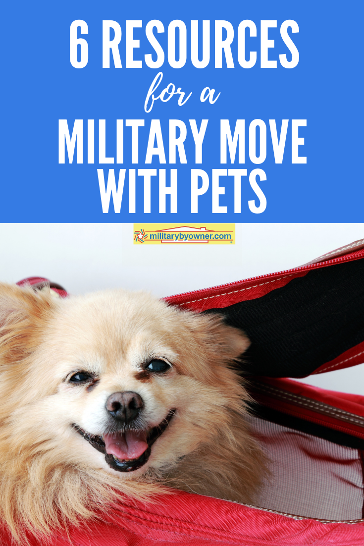 6 Resources For A Military Move With Pets