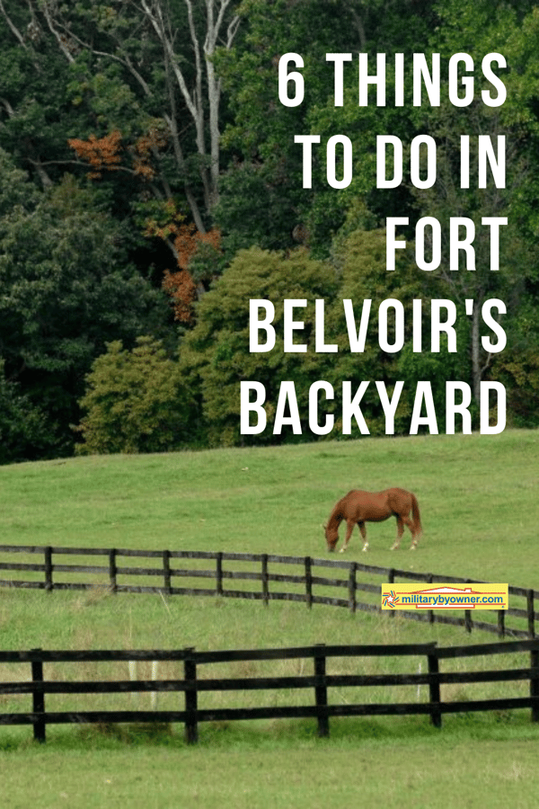 Photo of brown horse grazing in green field, forest behind him and a wooden fence in front with text 6 things to do in fort belvoirs backyard