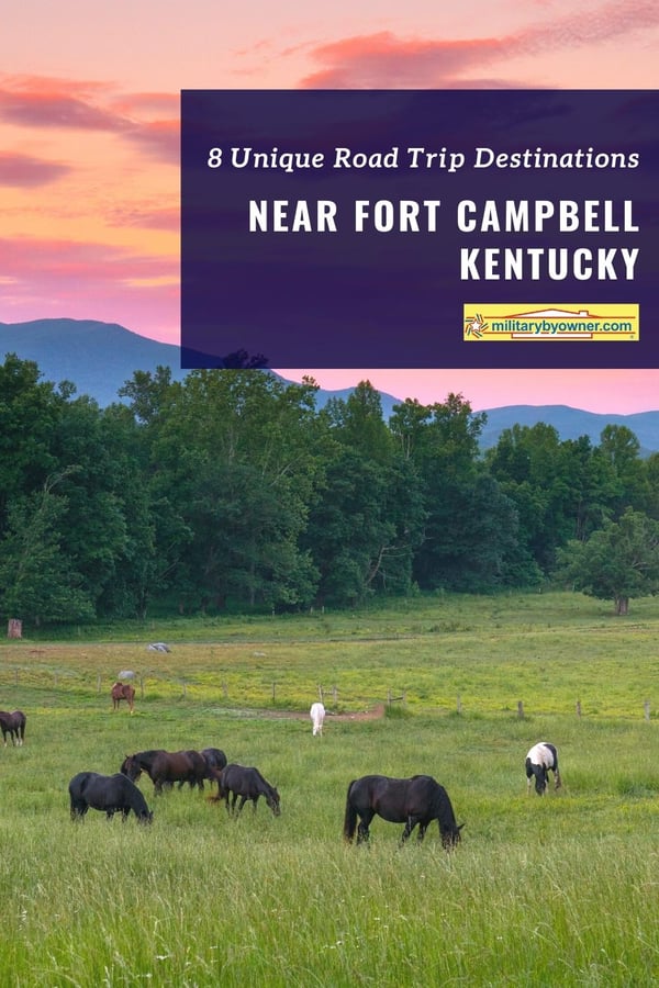 8 Unique Road Trip Destinations near Fort Campbell