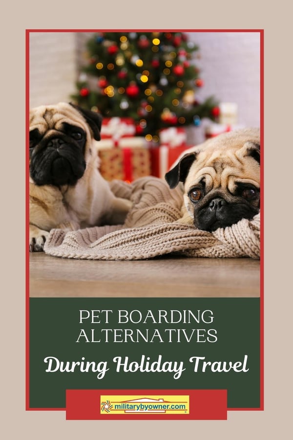 Alternatives to Pet Boarding