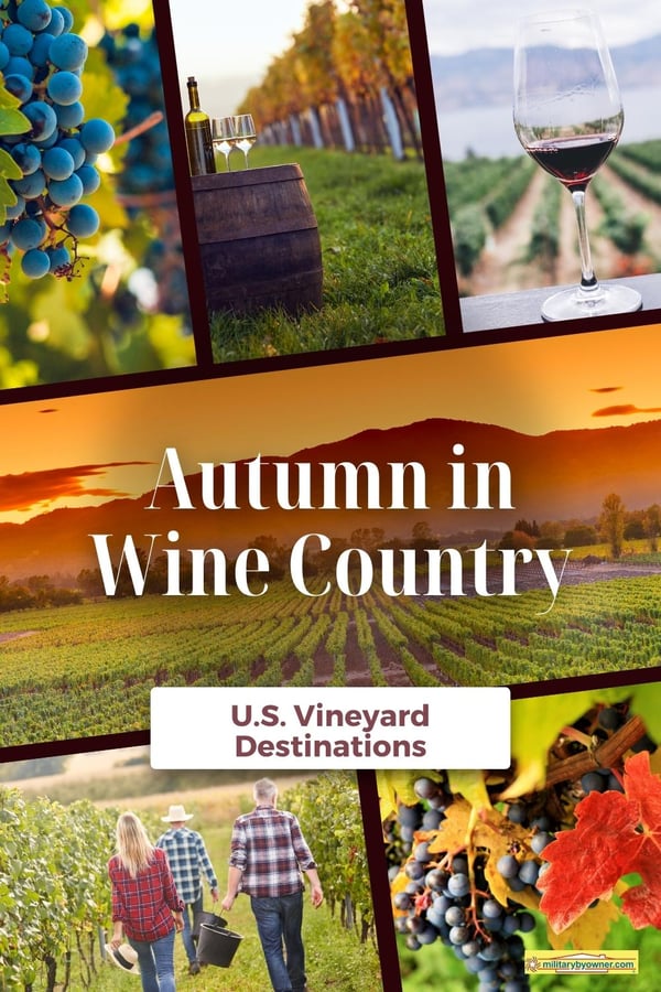 Autumn in Autum in Wine Country