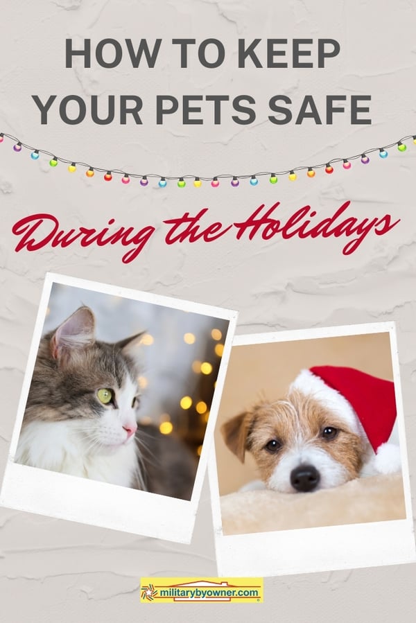 How to Keep Your Pets Safe During the Holidays-1