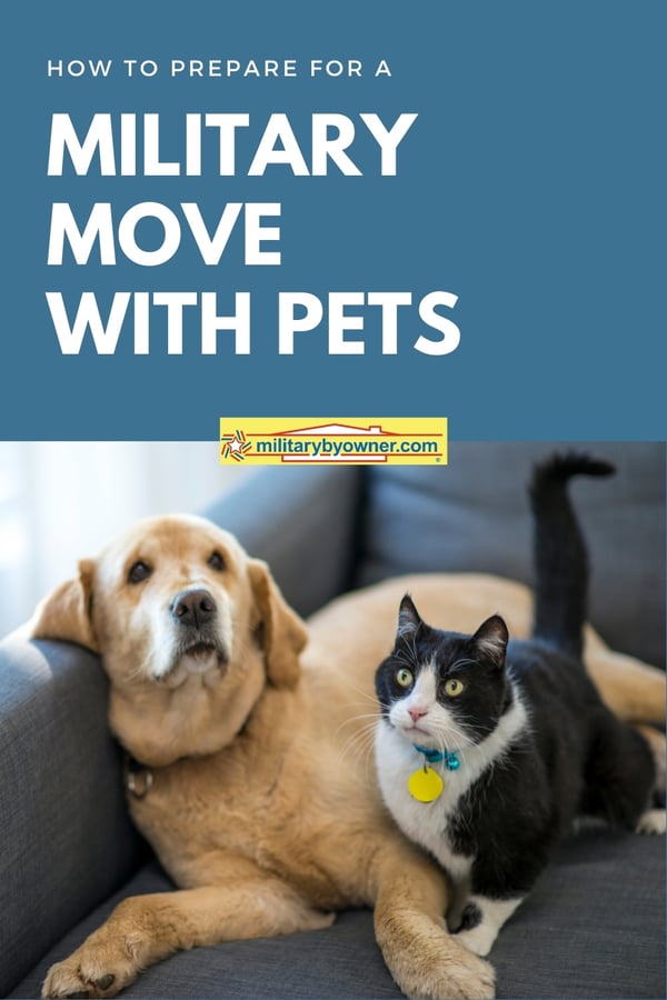 How to Prep Your Pets for a PCS Move