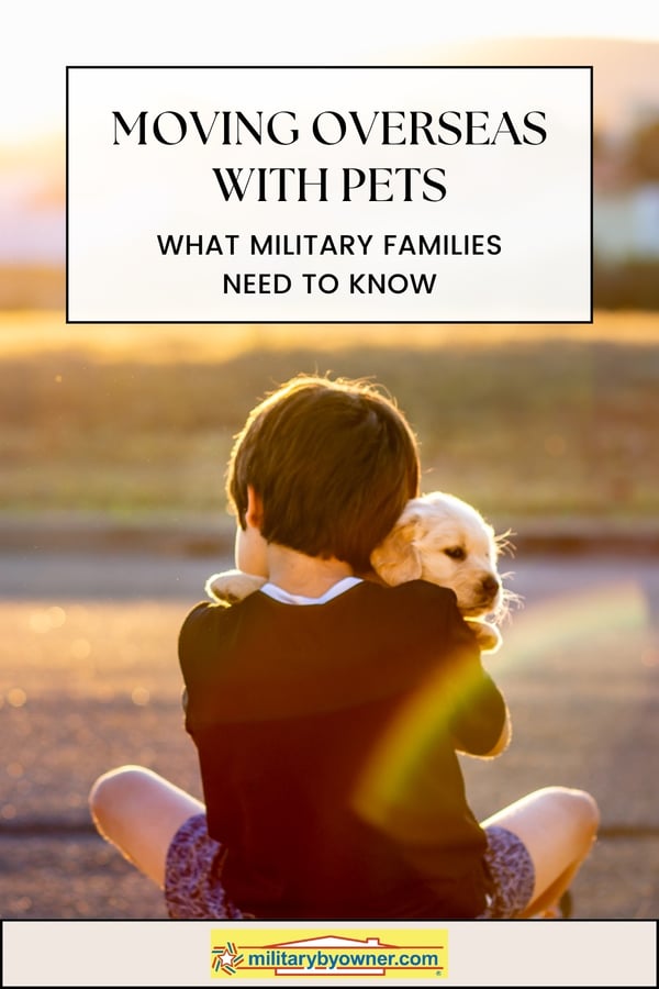 Moving Overseas With Pets what military families need to know