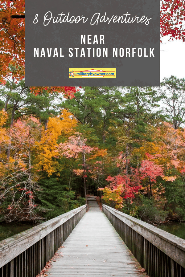 Outdoor Adventures Near Norfolk