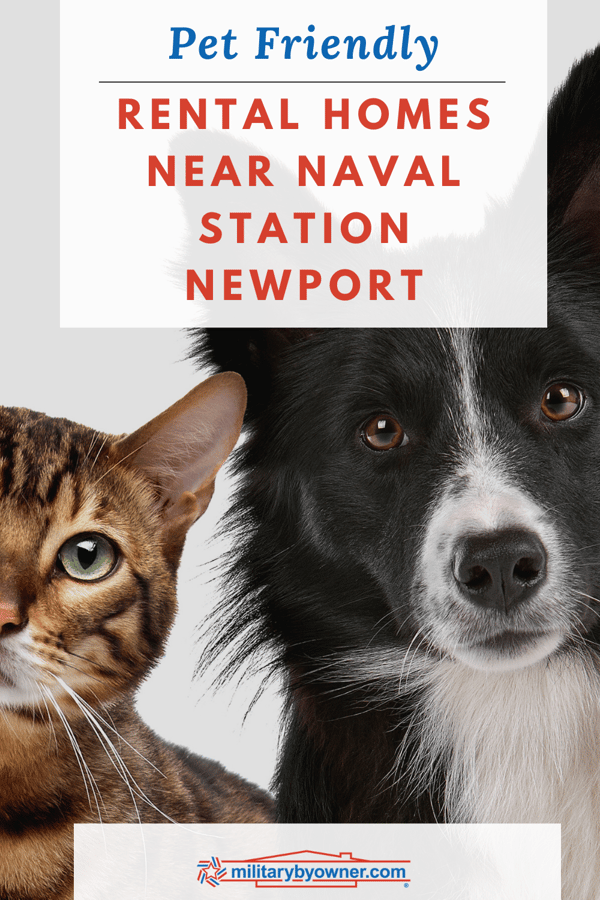 Pet Friendly Rental Homes Near Naval Station Newport