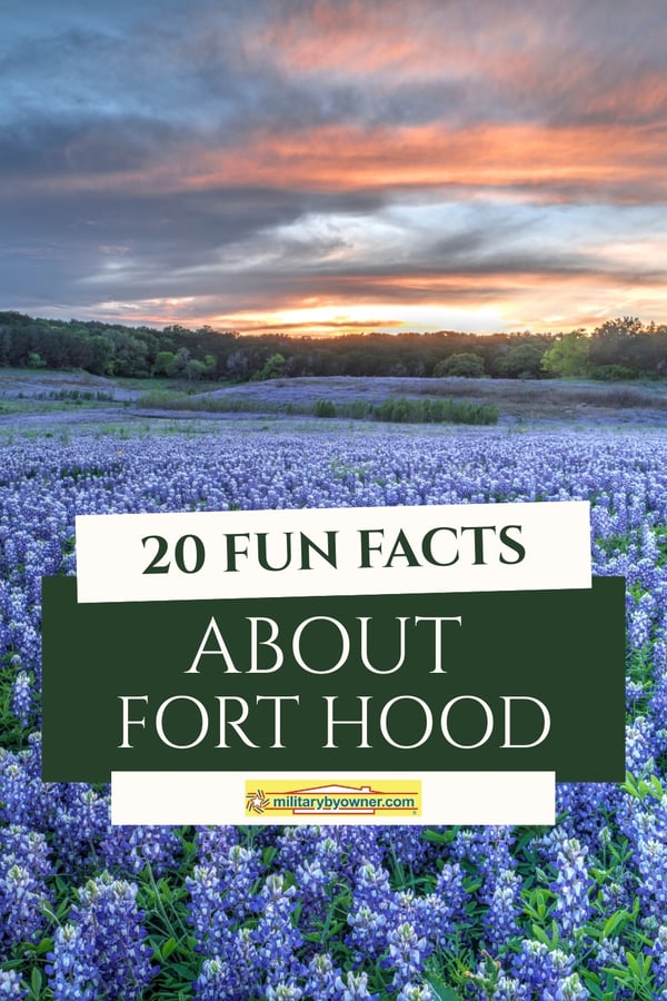 Field of Texas blue bonnets with the sun setting over the trees and text, 20 Fun Facts About Fort Hood