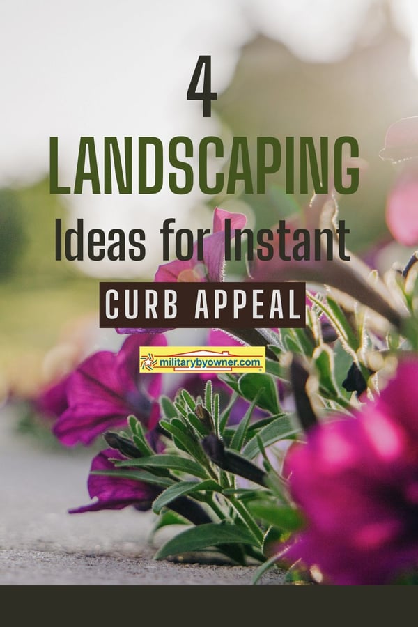 Pink petunia's growing near path with text, 4 Landscaping Ideas for Instant Curb Appeal