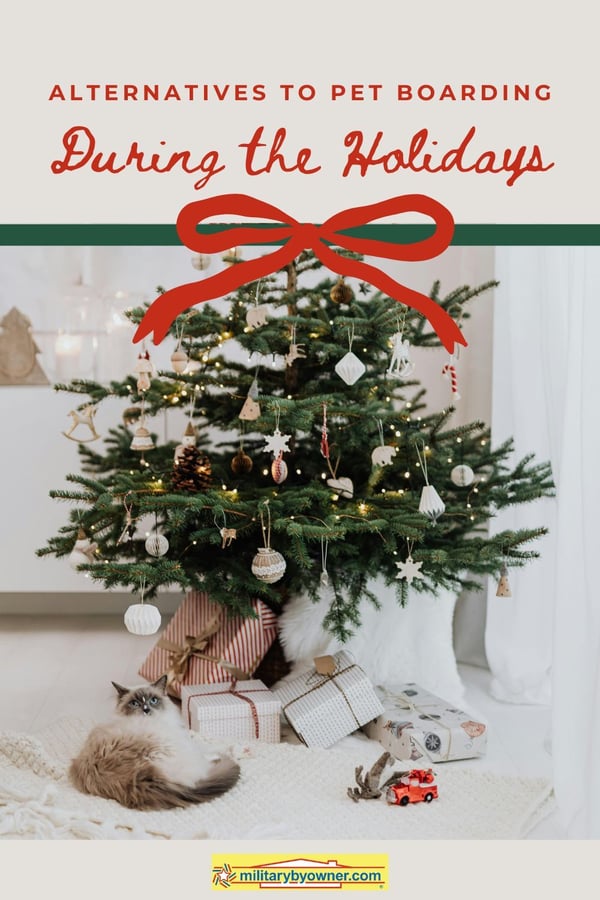 Gray and white cat lays on white tree skirt under Christmas tree with text, Alternatives to Pet Boarding During the Holidays