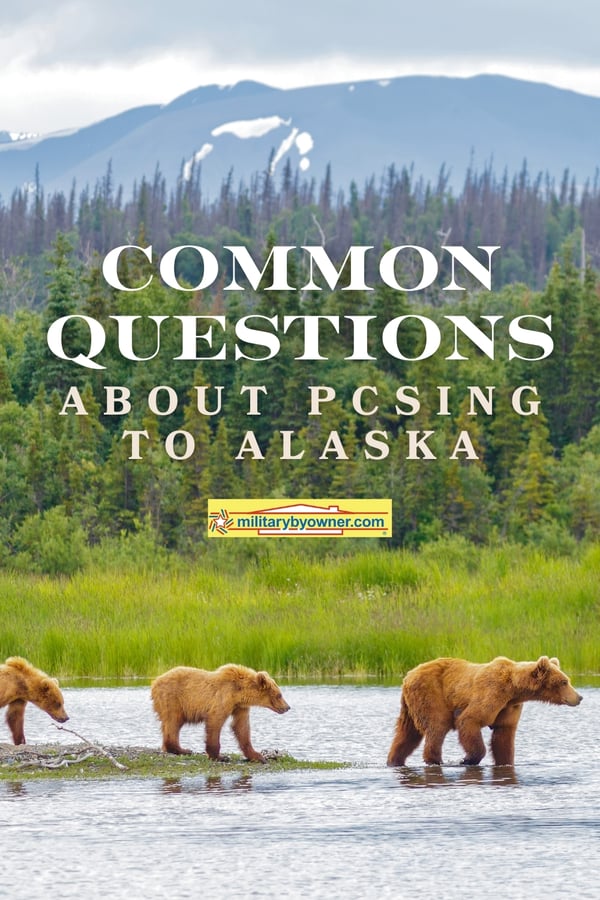 View of three brown bears crossing water with green grass and mountains behind and text, Common Questions About PCSing to Alaska