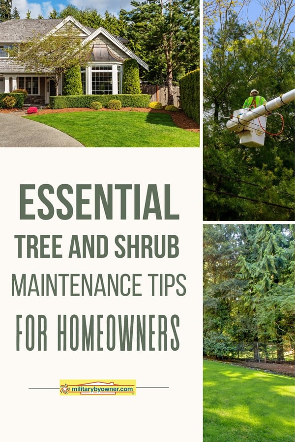 Collage of trees, maintenance, and home landscaping with text, Essential Tree and Shrub Maintenance Tips for Homeowners