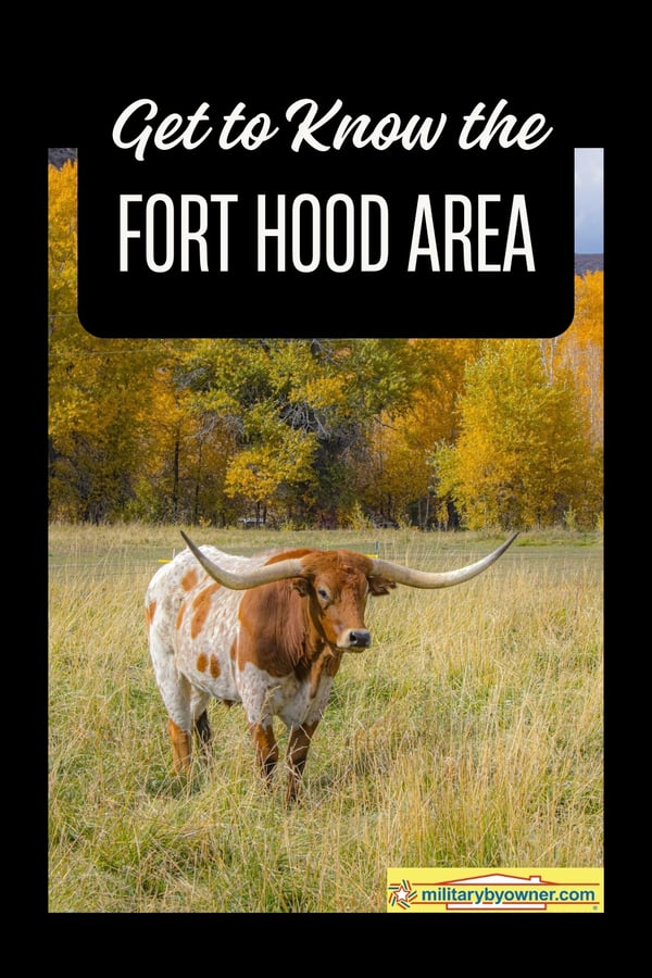 Texas longhorn standing in field in front of autumn colored tree line with text, Get to Know the Fort Hood Area