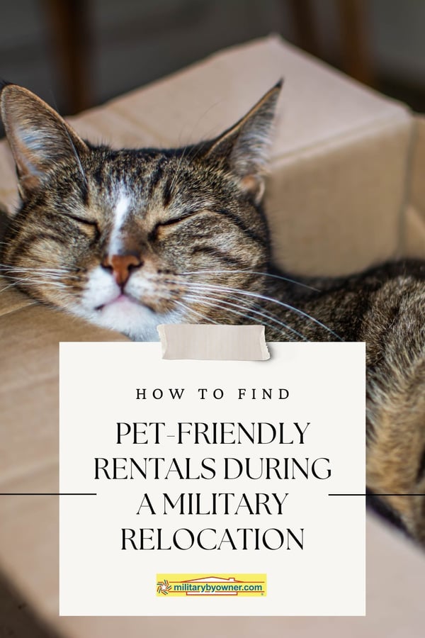 Cat with brown, tan, black, and white fur asleep in a moving box with text, How to Find Pet-Friendly Rentals During a Military Relocation