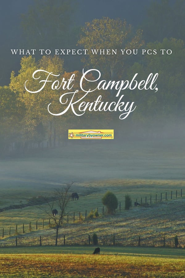 Beautiful misty countryside with cattle and golden sun with text, What to Expect When You PCS to Fort Campbell, KY