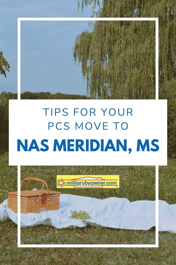 Blanket and picnic basket laid out in green field with white flowers and weeping willow with text, Tips for Your PCS Move to NAS Meridian, MS
