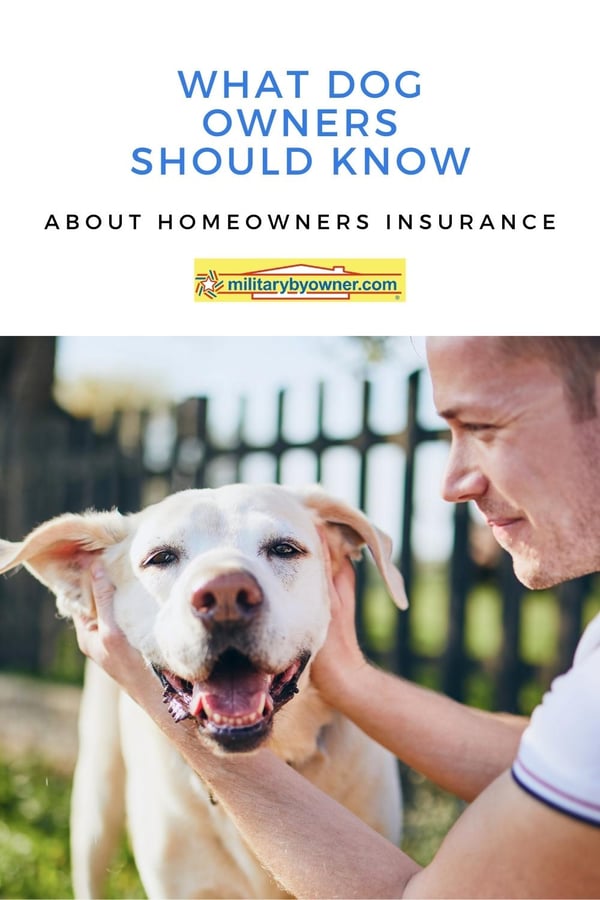What Dog Owners Should Know About Homeowners Insurance