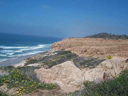 Torrey_pines_state_park