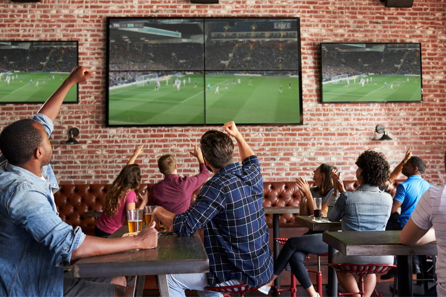 Fans at sports bar