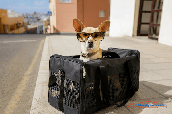 The International Pet and Travel Association (IPATA) is your go to for screening pet transport companies.