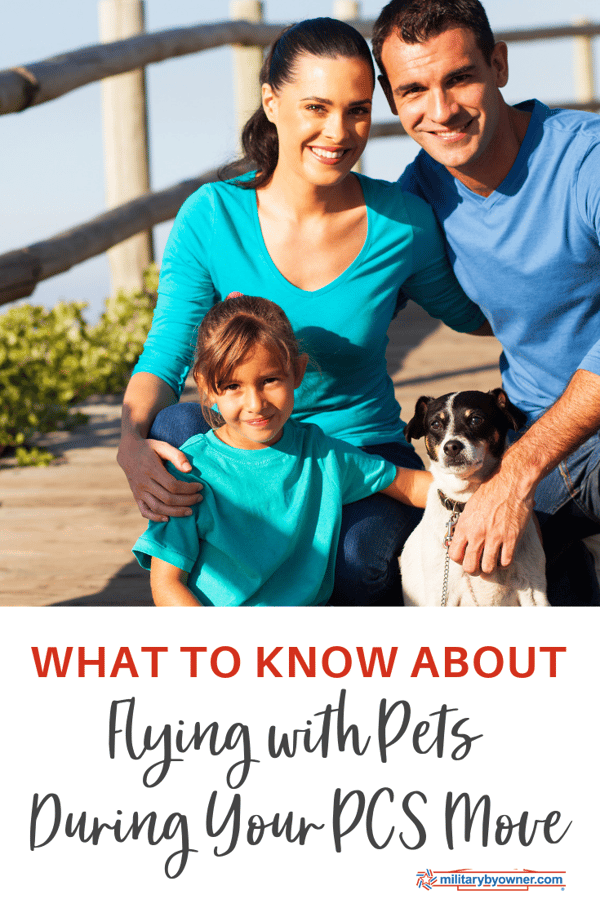 What to Know About Flying with Pets
