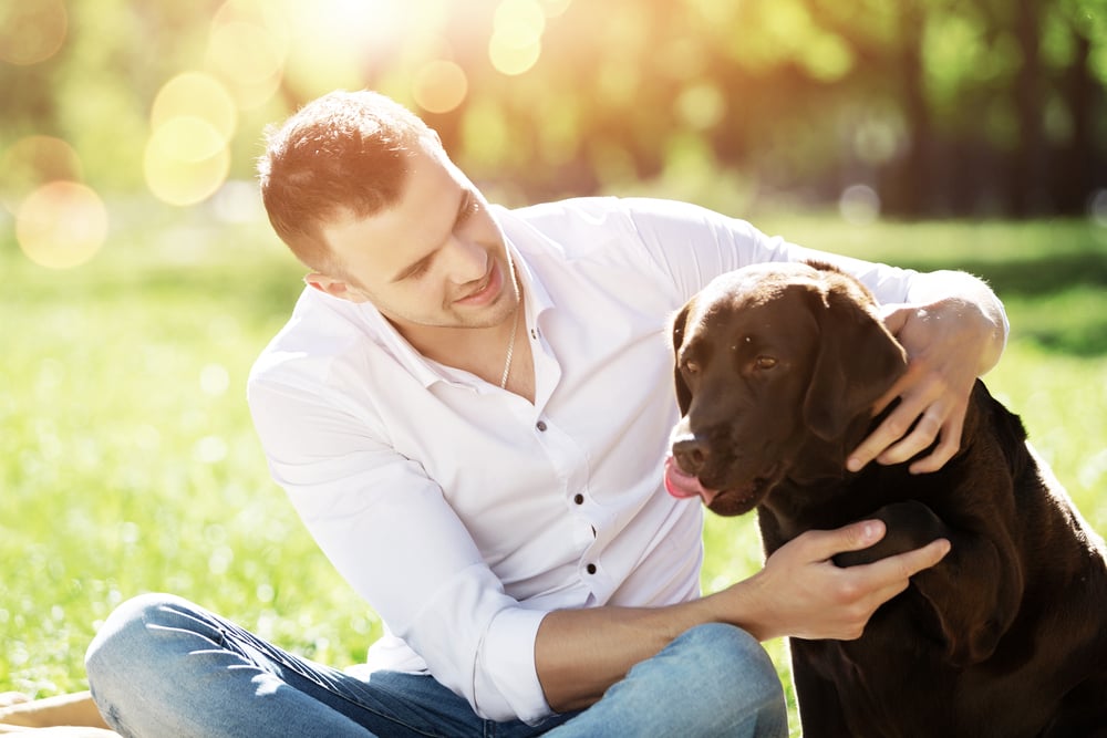 Man petting his large brown dog. 