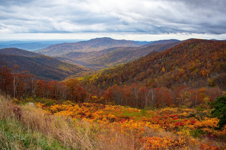 Shenandoah National Park an easy drive from DC