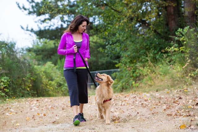 dog_walk dog_walk