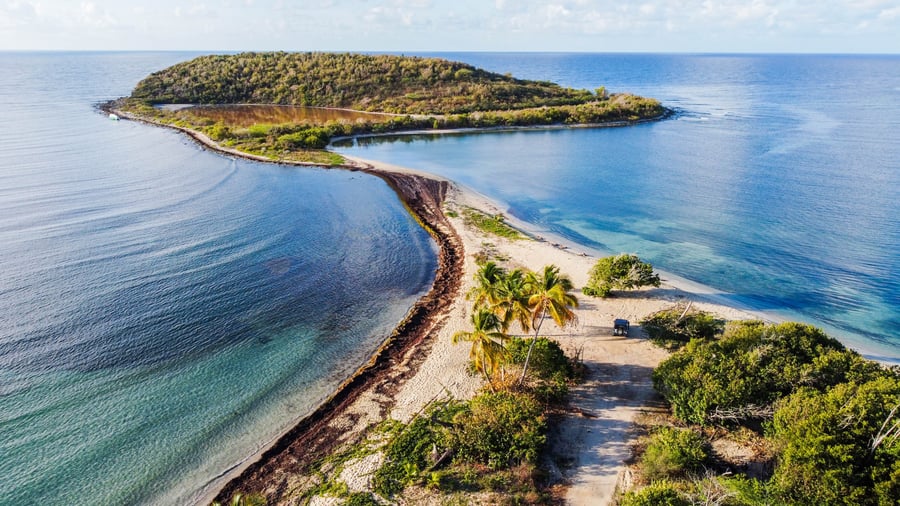 vieques island puerto rico