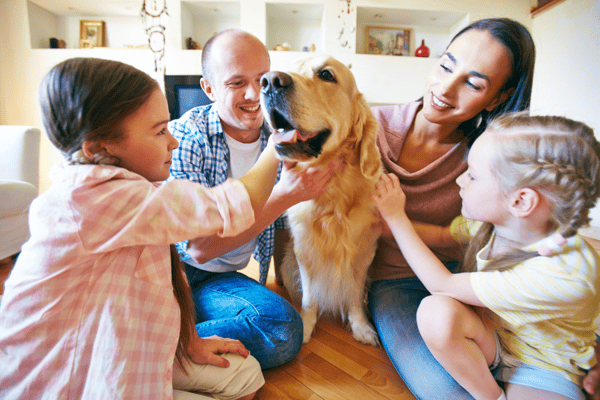 Many families consider their pets a part of the family. 