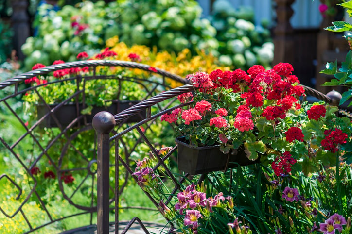 wrought iron fence with flower boxes